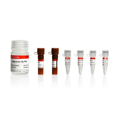 Click-iT EdU-647 Trealamh Measúnaithe Iomadú Cealla