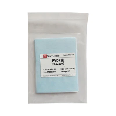 Membrane PVDF (0.22μm)