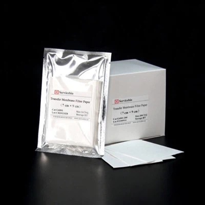 Aistriú Páipéar Scagaire Membrane